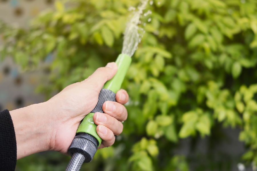 Hand met tuinslang waar water uitkomt