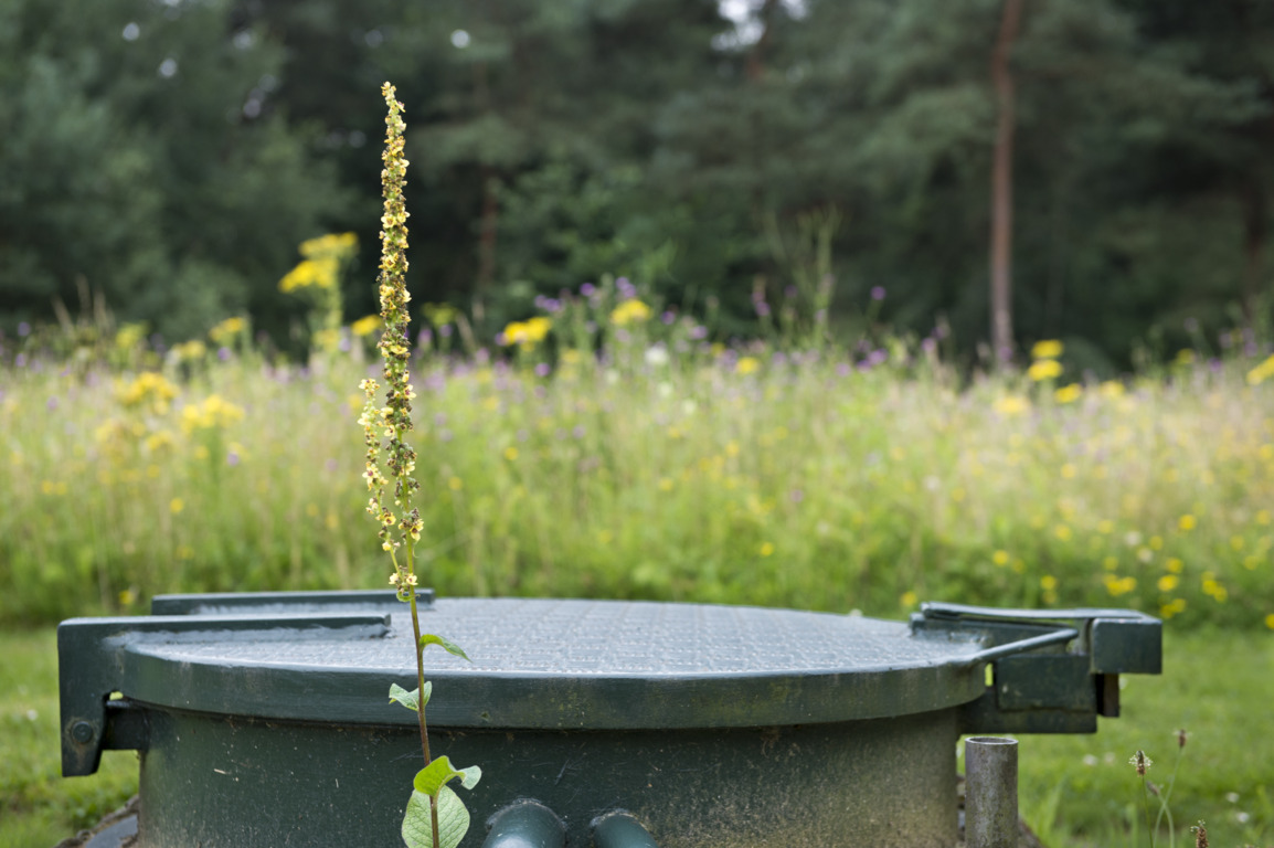 Waterwinput in de natuur