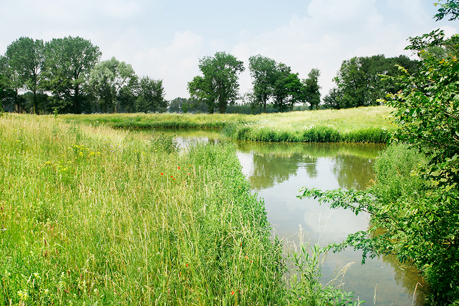 Gras weiland met een beekje