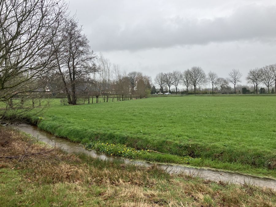 Weiland met een beekje ervooor