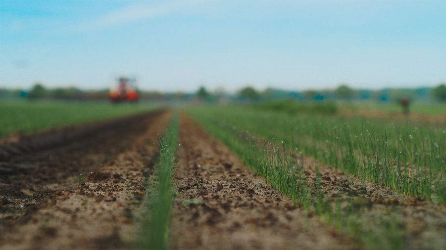 Fulvine: van bijproduct naar waardevolle biostimulant