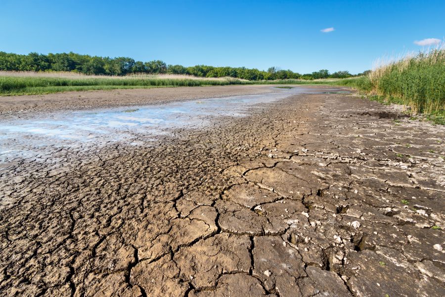 Bodem met scheuren in de aarde door de droogte