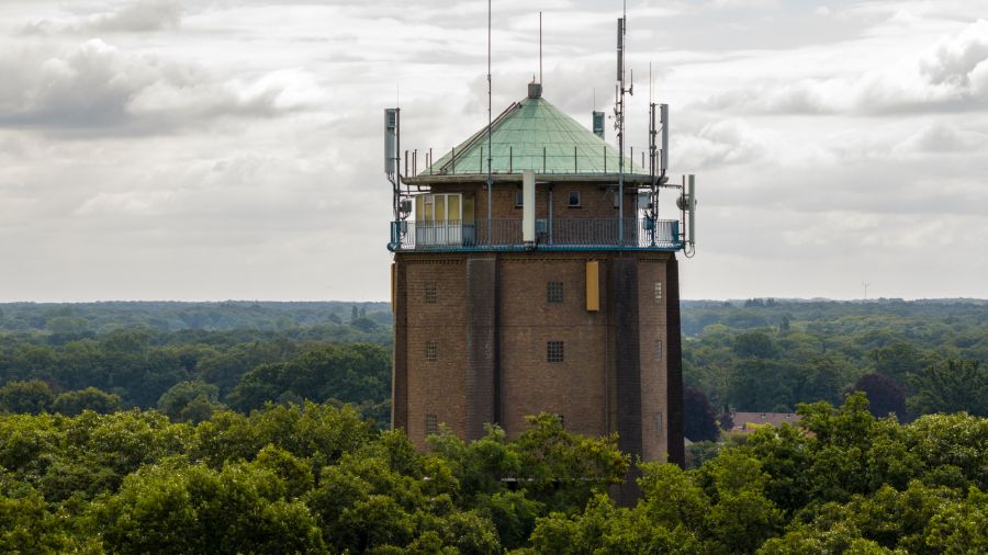 Toppen van bomen waarboven de watertoren van Aalten uitsteekt