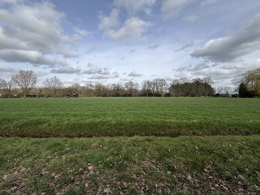 Weiland in de Gelderse Vallei