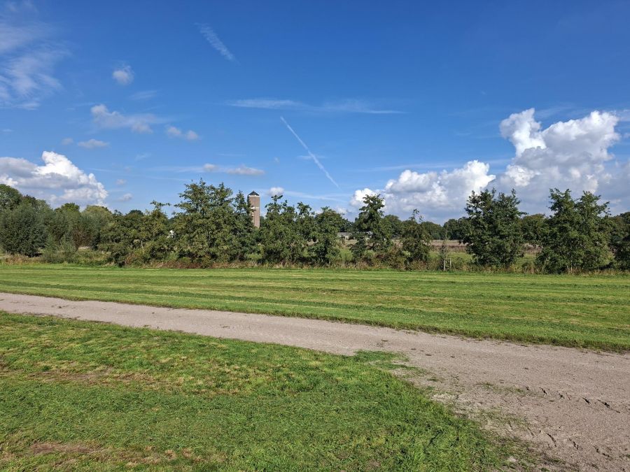 Een stuk gras met een weg er doorheen