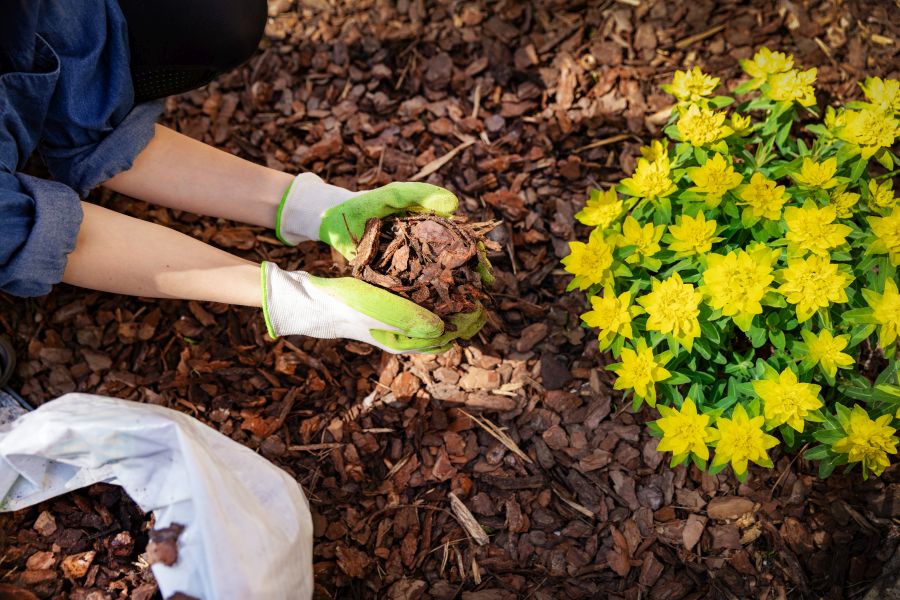 Handen die boomschors vasthouden in de tuin